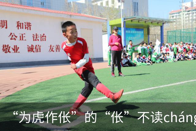 “为虎作伥”的“伥”不读cháng，我出过丑，现在牢牢记住了!