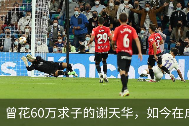 曾花60万求子的谢天华，如今在成都陪11岁儿子喂熊猫，状态太真实