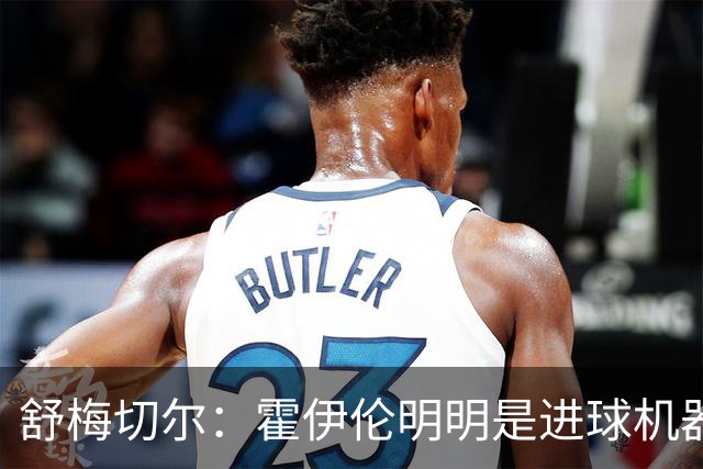 舒梅切尔：霍伊伦明明是进球机器，维韦尔来了偏要换成谢什科